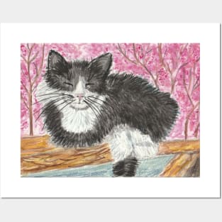 Tuxedo cat Posters and Art